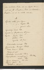 Nachlass Franz Steindachner, Brief von Hector F. E. Jungersen an Franz Steindachner (15.10.1907), Inv.Nr. 262.03, Seite 2